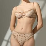 Sexy Lingerie Lace Underwear Ultra-thin Transparent Heart-shaped Print Women's Underwear Set Large Chest Minimizer Bra - Image 2