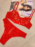 Sexy Lingerie Lace Underwear Ultra-thin Transparent Heart-shaped Print Women's Underwear Set Large Chest Minimizer Bra - Image 9